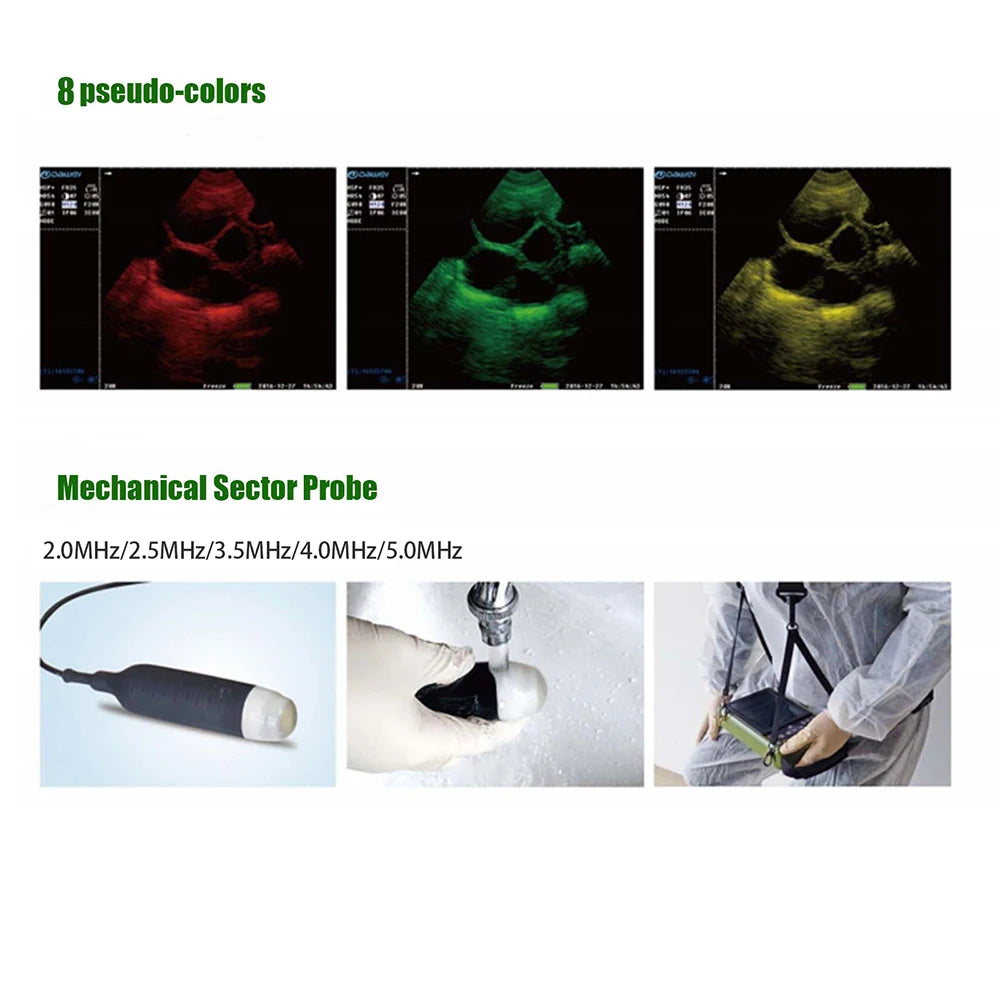 DAWEI Veterinary Ultrasound Scanner for Pregnancy with 3.5MHz Convex Probe