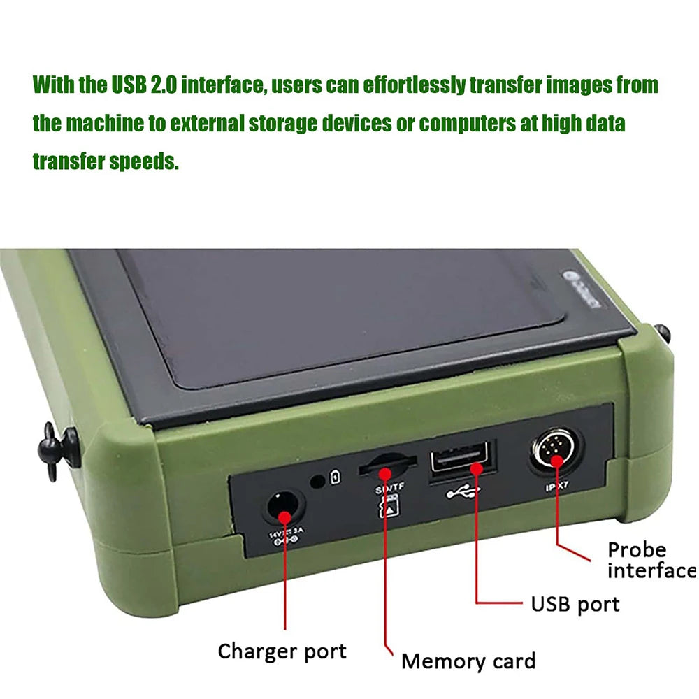 DAWEI Veterinary Ultrasound Scanner for Pregnancy with 3.5MHz Convex Probe