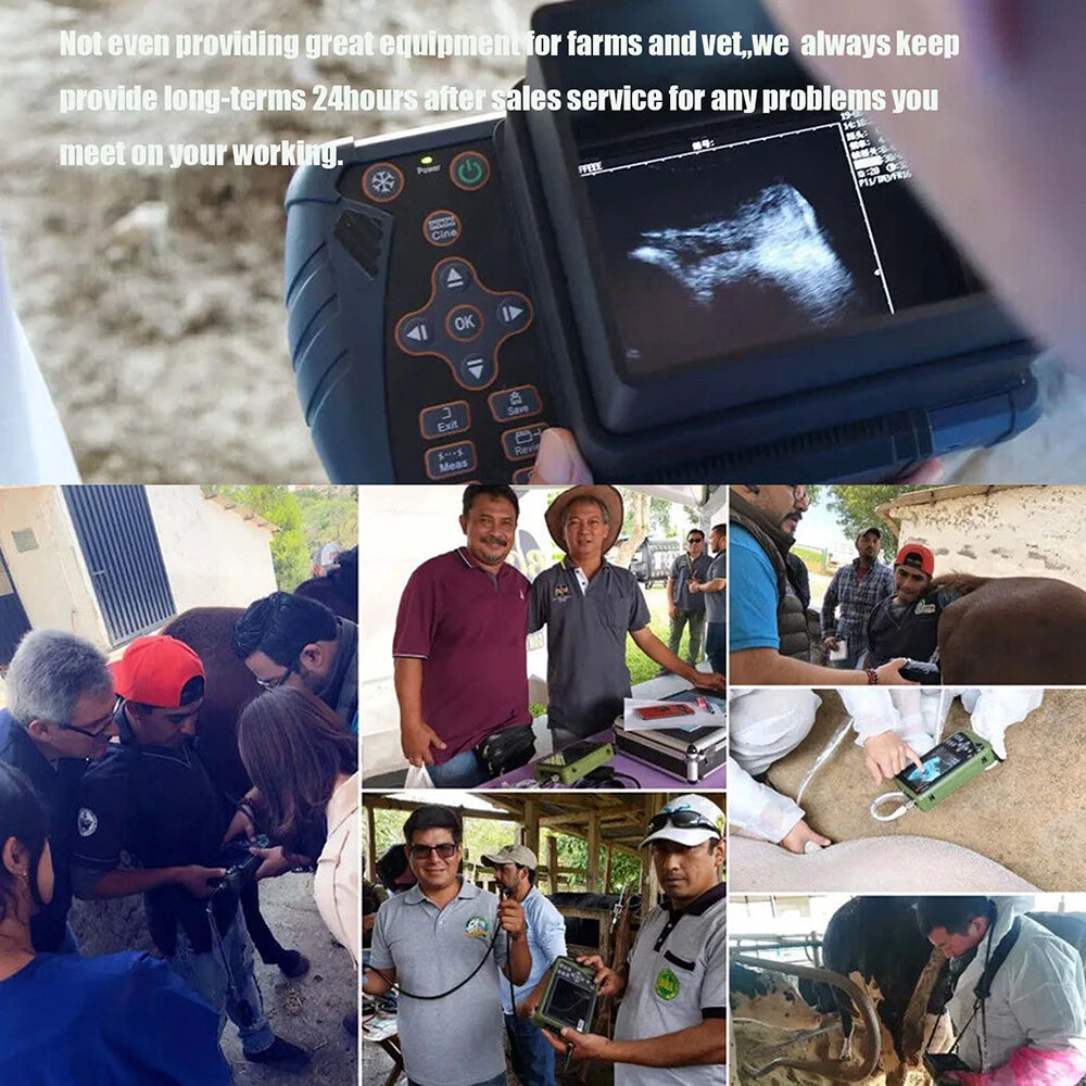 DAWEI Veterinary Ultrasound Scanner for Pregnancy with 3.5MHz Convex Probe