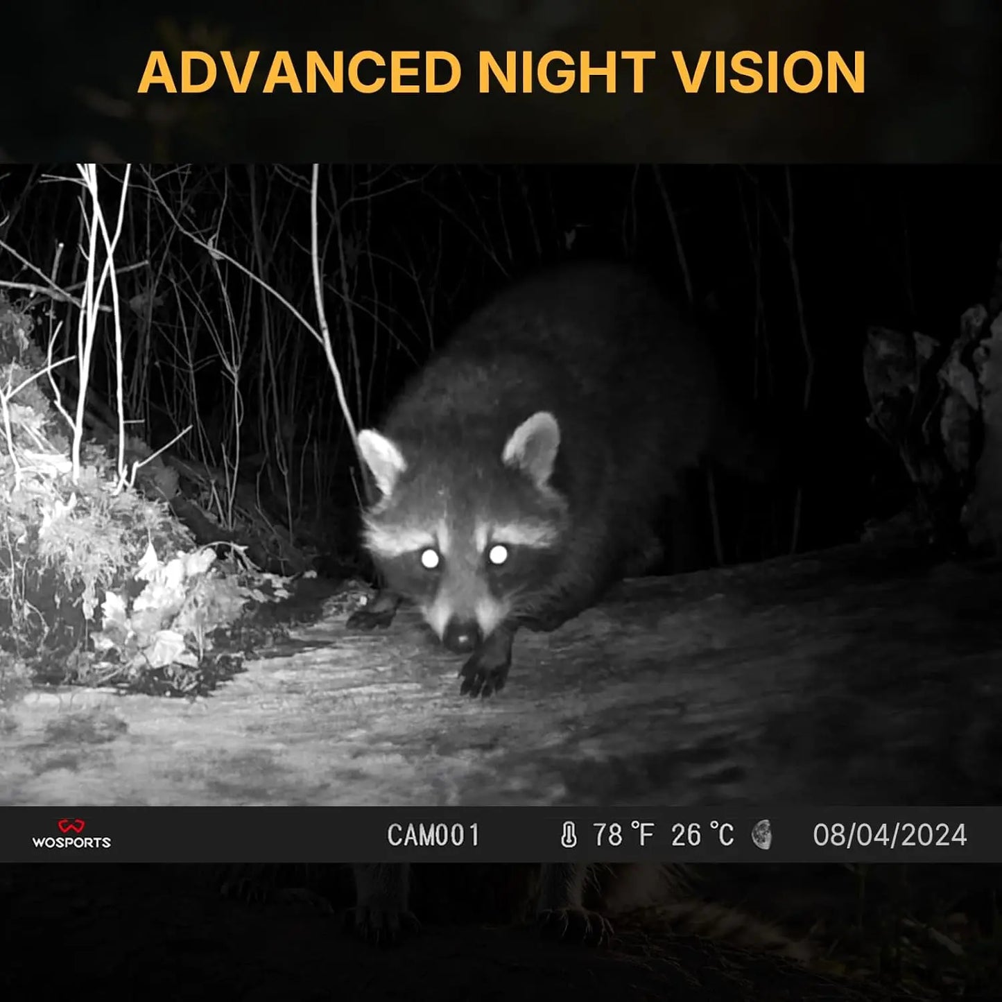 Mini Trail Camera 24MP 1080P HD Night Vision Motion-Activated Waterproof for Outdoor Wildlife Monitoring